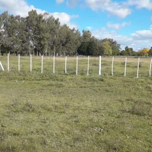 El Centro Tradicionalista El Volcador de San Vicente celebrará el Día Nacional del Gaucho en el Campo Don Tomás.
