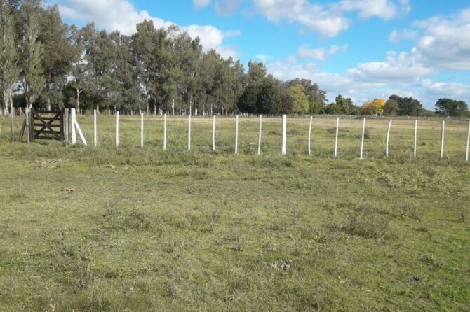El Centro Tradicionalista El Volcador de San Vicente celebrará el Día Nacional del Gaucho en el Campo Don Tomás.