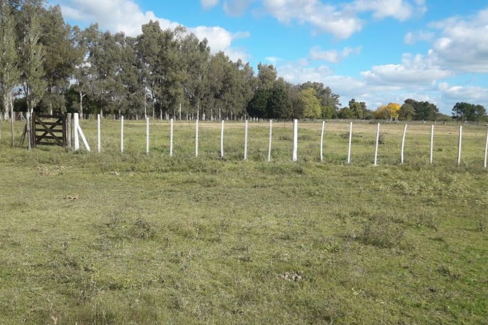 El Centro Tradicionalista El Volcador de San Vicente celebrará el Día Nacional del Gaucho en el Campo Don Tomás.