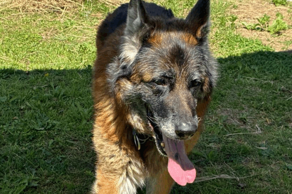 Desde el refugio de Monte Grande la llamaron