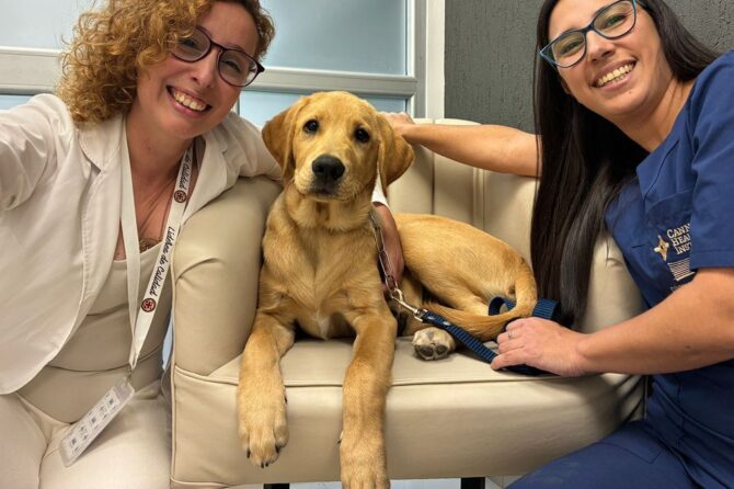 El cachorro forma parte de Clínica Monte Grande desde hace tres meses.