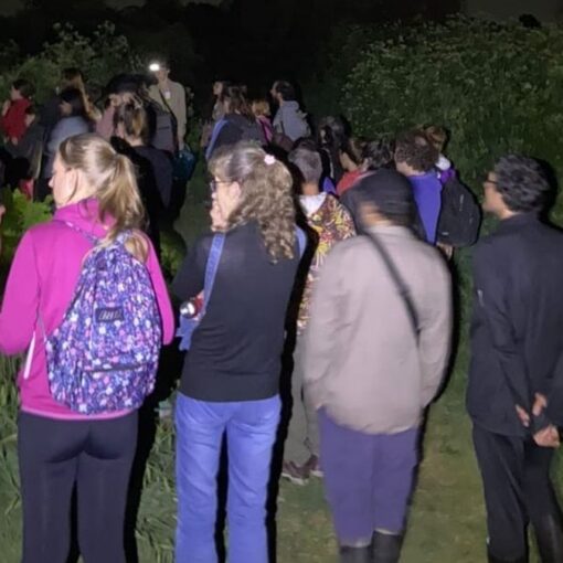 Con la vuelta de temperaturas más cálidas se remota esta actividad nocturna de avistaje y astronomía en la laguna de San Vicente.