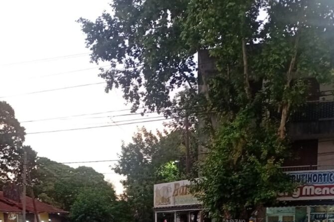 El accidente sucedió en pleno centro de Monte Grande.