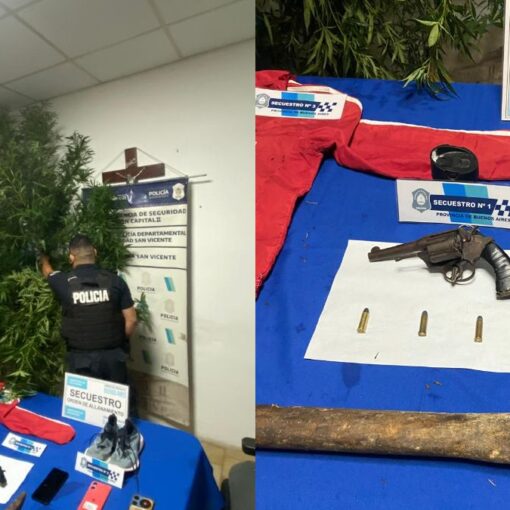 El allanamiento fue realizado sobre la calle Esmeralda, San Vicente, donde se secuestró una planta de marihuana entre otros objetos.