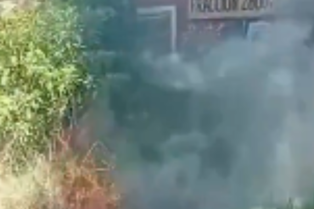 Bomberos de Lomas de Zamora y Almirante Brown trabajaron en el lugar.