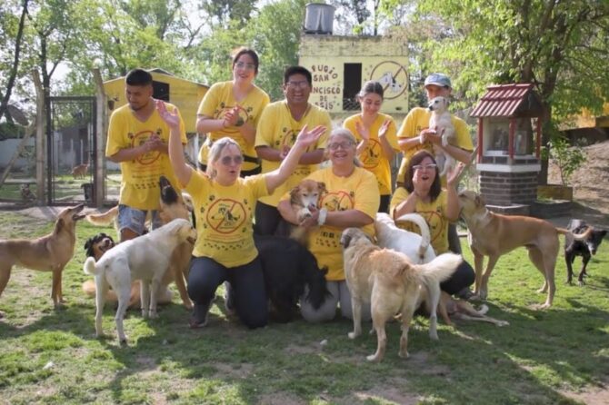 Patricia, presidenta del refugio San Francisco de Asís, con parte de los perros rescatados por la organización de Lomas de Zamora.