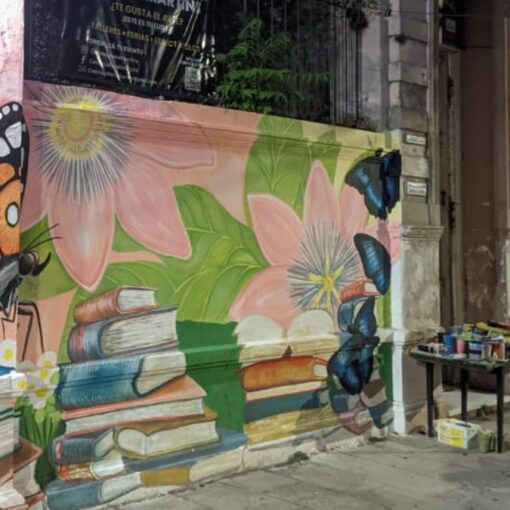 María Celeste Gutiérrez pintando el nuevo mural de la biblioteca popular de San Vicente.