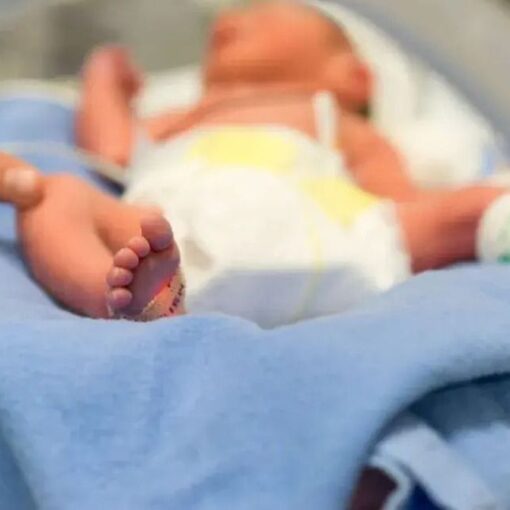 Evolución demográfica. En 2025, Esteban Echeverría registró 2.278 nacimientos y 1.752 defunciones, con un saldo natural positivo.