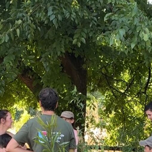 Senderos de la Reserva Santa Catalina, uno de los espacios donde se desarrollan actividades de verano.