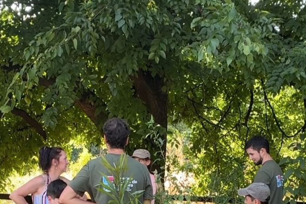 Senderos de la Reserva Santa Catalina, uno de los espacios donde se desarrollan actividades de verano.