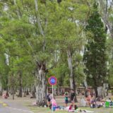Antiguo camión de Villa Albertina, una postal histórica del barrio en el marco de su 116° aniversario.
