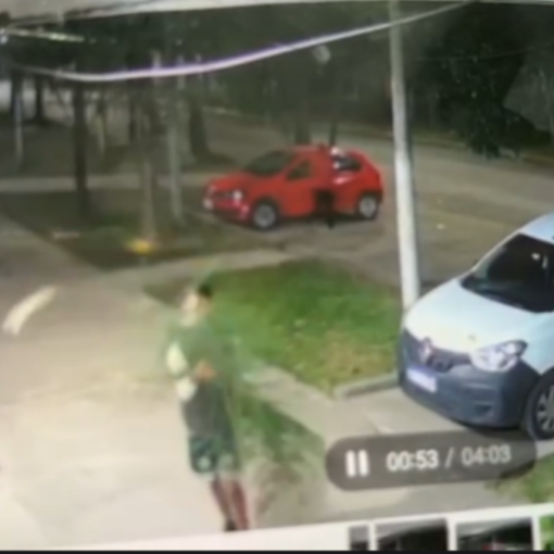 Los jóvenes utilizaron una rama para desviar las cámaras de seguridad y robar en Alejandro Korn.