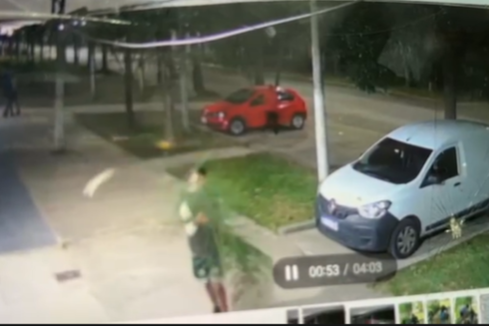 Los jóvenes utilizaron una rama para desviar las cámaras de seguridad y robar en Alejandro Korn.