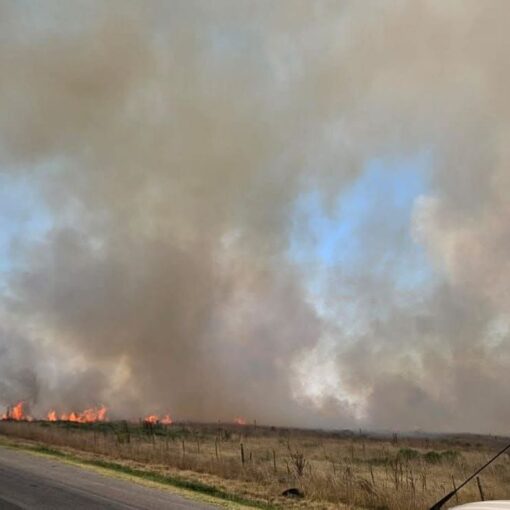 Ruta 210 cortada por falta de visibilidad por un incendio de pastizales en Alejandro Korn.