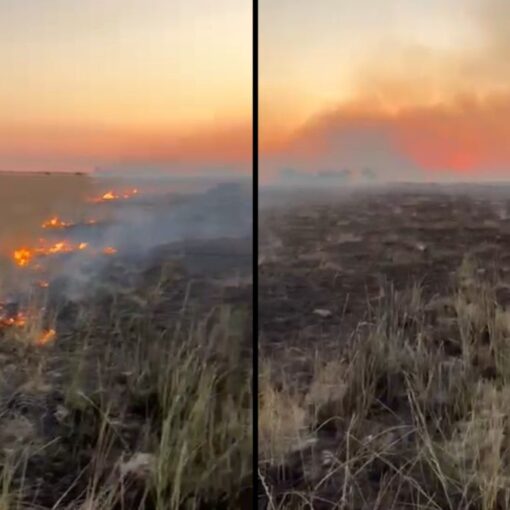 Se quemaron más de 150 hectáreas y los gastos todavía son incalculables luego del incendio en San Vicente.