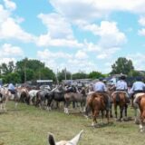Torneo de vóley en San Vicente y un día al aire libre para pasar en familia.