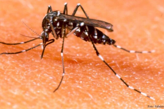 La vacunación contra el dengue se aplica de manera gratuita en hospitales y centros de salud de Lomas de Zamora.