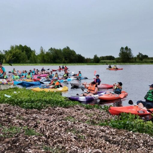 Colecta de sangre en la laguna de San Vicente.
