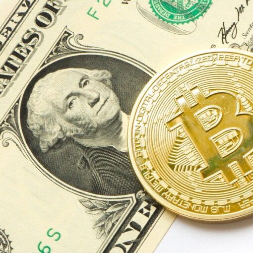 El dólar cripto el único que opera durante la apertura de las sesiones legislativas.