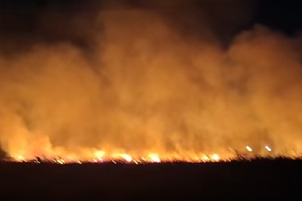 El incendio se desat&oacute; en cercan&iacute;as al Aeropuerto Internacional de Ezeiza.