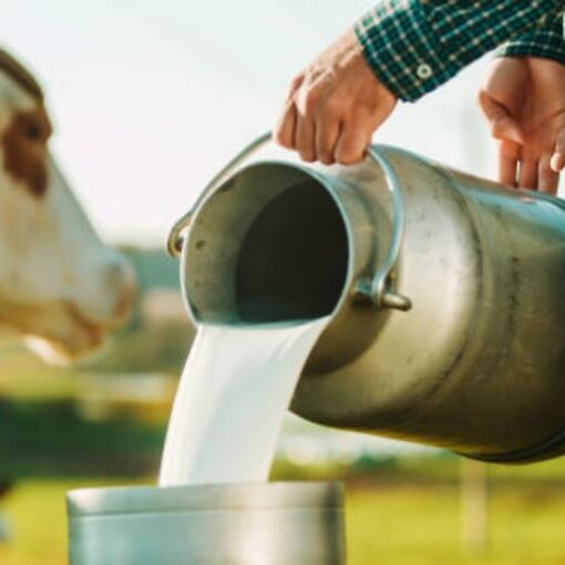 El SENASA prohibió el uso y la comercialización de productos veterinarios con Somatotropina Bovina recombinante (rBST) en todo el país.