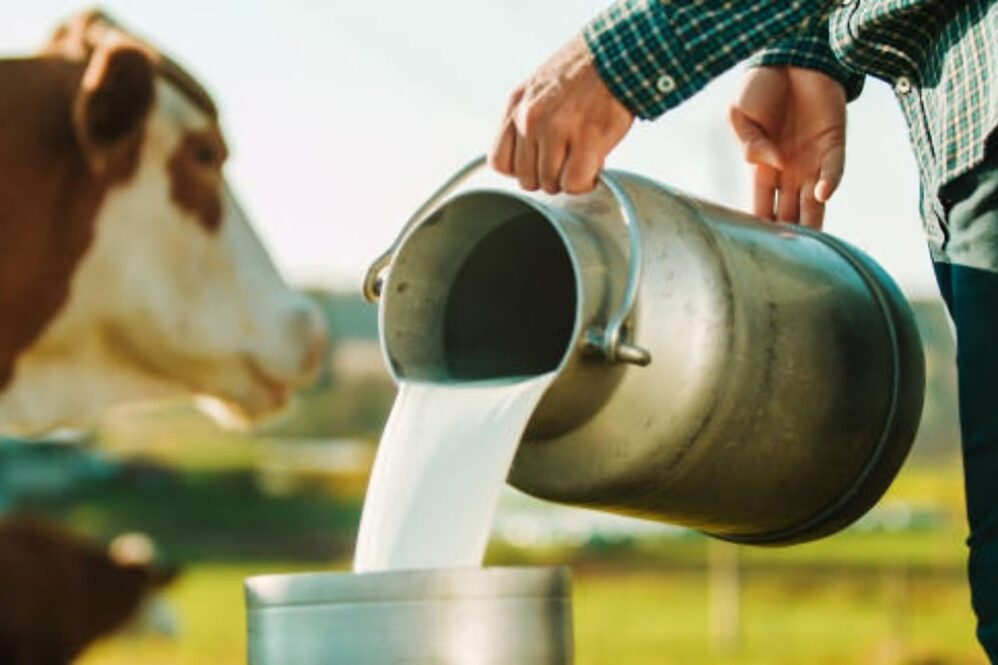 El SENASA prohibió el uso y la comercialización de productos veterinarios con Somatotropina Bovina recombinante (rBST) en todo el país.