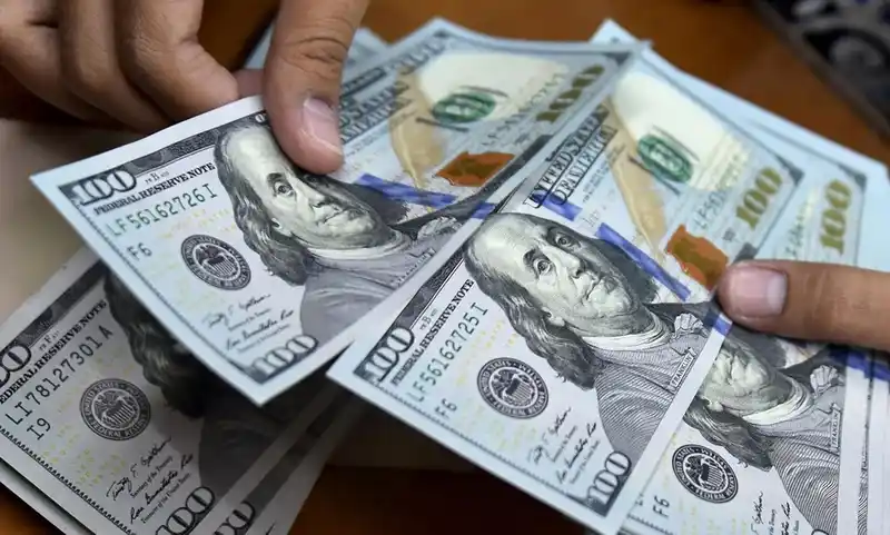 Récord postelectoral: 1,7 millones de argentinos compraron dólares en julio 2 Récord postelectoral: 1,7 millones de argentinos compraron dólares en julio