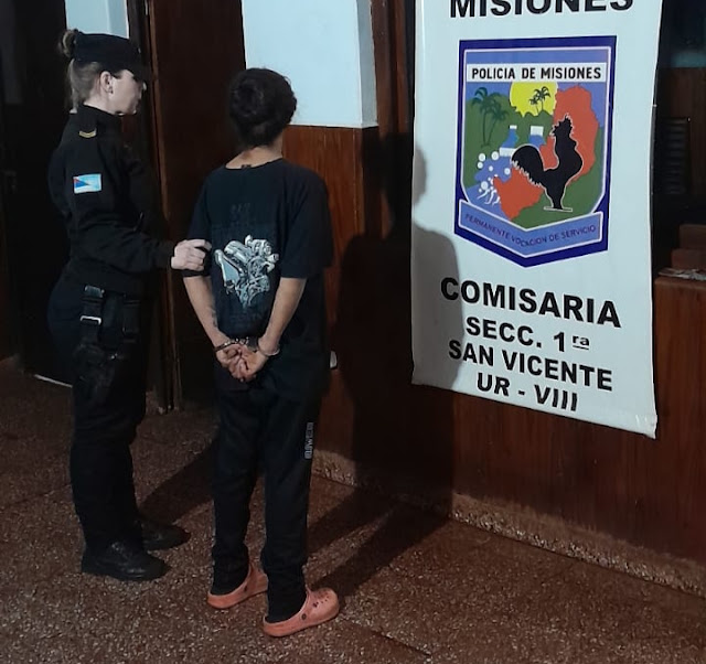 San Vicente: detienen a mujer por dos hechos de daño y buscan a segundo implicado 2 San Vicente: detienen a mujer por dos hechos de daño y buscan a segundo implicado