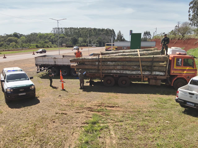Gendarmería incauta 20 rollos de madera nativa en Dos de Mayo 5 Gendarmería incauta 20 rollos de madera nativa en Dos de Mayo