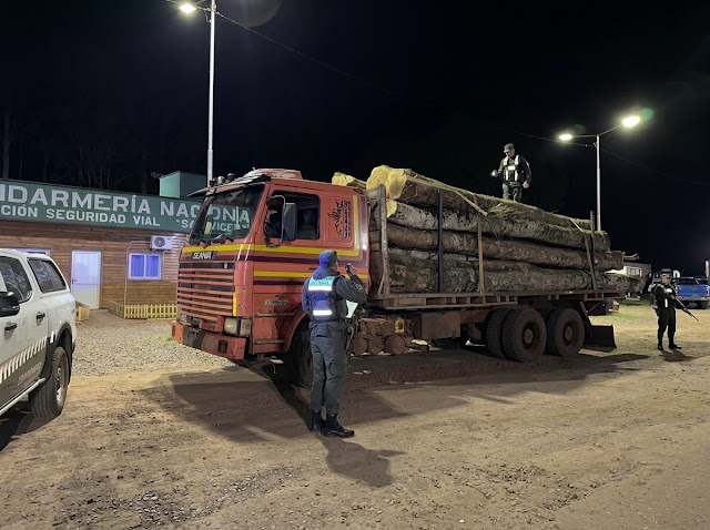Gendarmería incauta 20 rollos de madera nativa en Dos de Mayo 3 Gendarmería incauta 20 rollos de madera nativa en Dos de Mayo