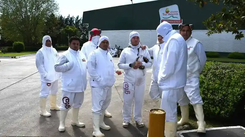 Concejo solicita a Nación y Provincia informes por suspensiones en la Granja Tres Arroyos 2 Concejo solicita a Nación y Provincia informes por suspensiones en la Granja Tres Arroyos