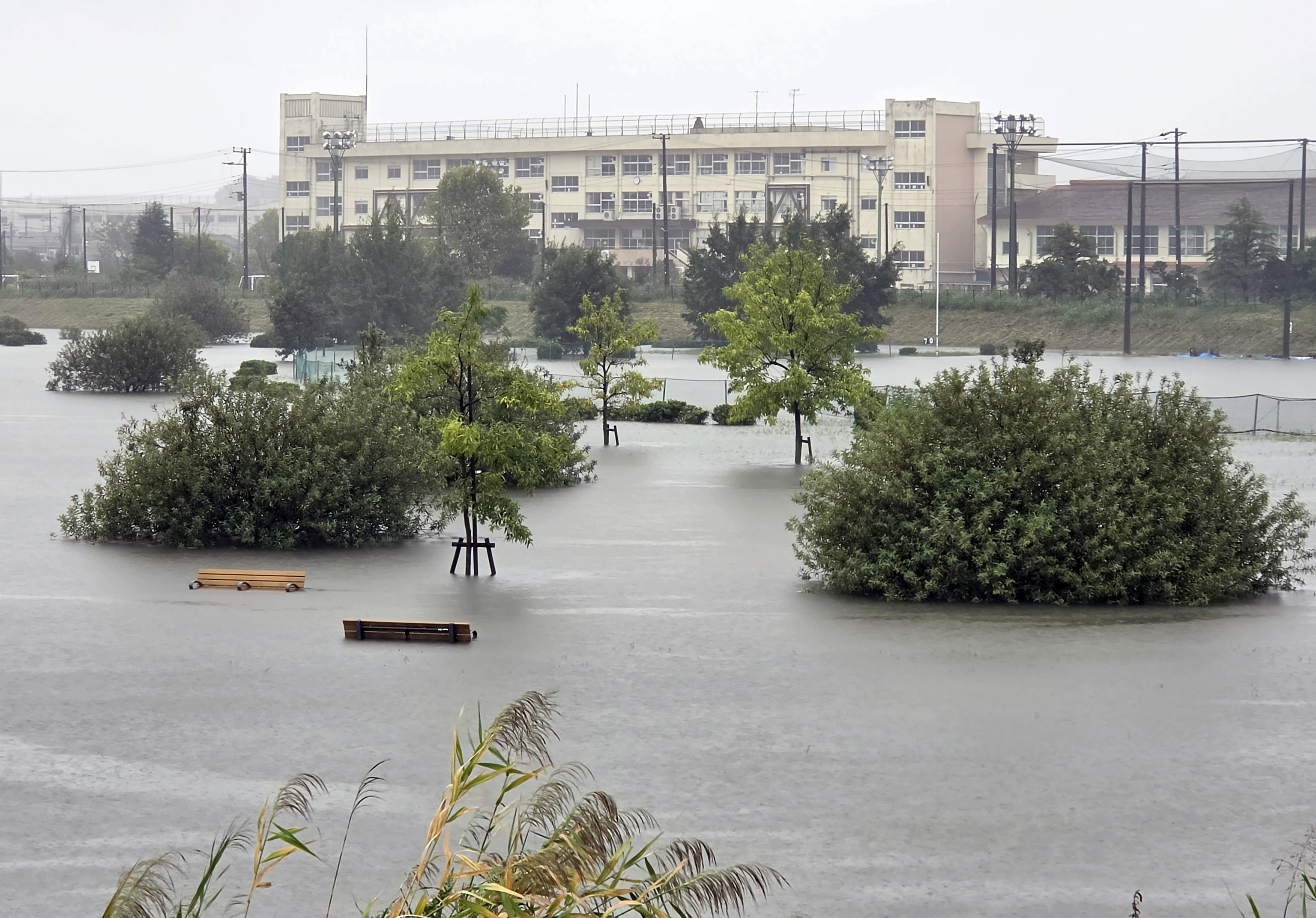 Tifón Dujuan deja cinco muertos, seis desaparecidos y 45.000 hogares sin electricidad en Japón 2 Un parque inundado tras las fuertes lluvias provocadas por el tifón Dujuan en Ichikawa, prefectura de Chiba.
