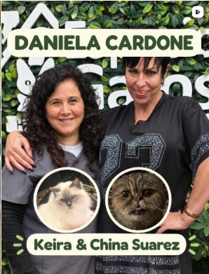 Daniela Cardone llamó a su gata como la famosa más odiada y se desataron teorías sobre Gonzalo Heredia 2 ASI PRESENTAN A LAS GATAS DE DANIELA CARDONE. UNA SE LLAMA "CHINA SUAREZ". ¿Y ESO?