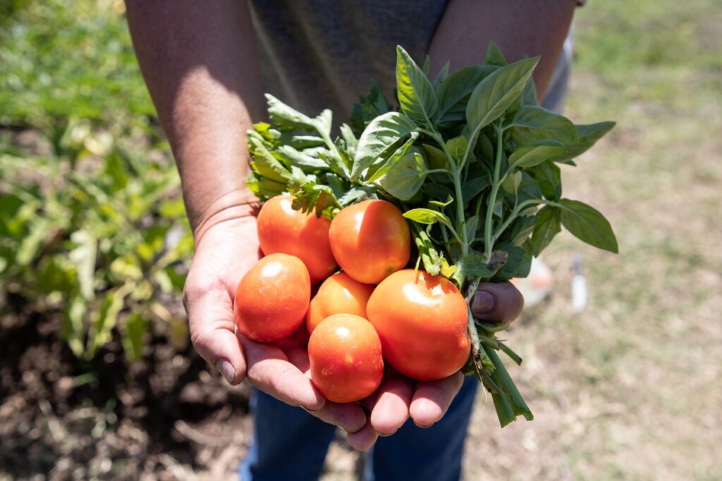 Último día de inscripción al curso gratuito de huertas agroecológicas en La Matanza 2 Último día de inscripción al curso gratuito de huertas agroecológicas en La Matanza
