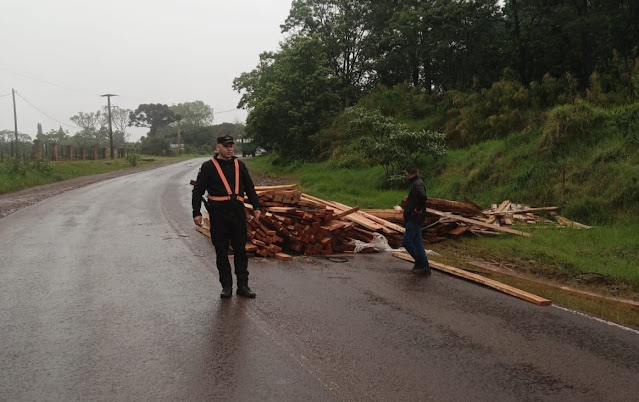 Camión se despistó y derramó madera en Ruta 11 2 Camión se despistó y derramó madera en Ruta 11