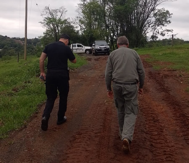 Investigan posible presencia de grandes felinos en San Vicente y Puerto Rico 2 Investigan posible presencia de grandes felinos en San Vicente y Puerto Rico