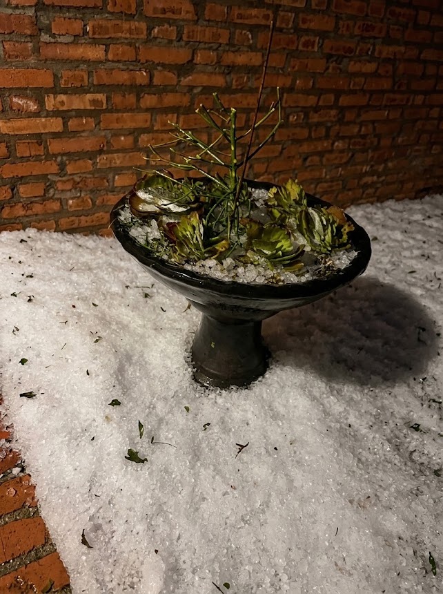 Granizo en Dos de Mayo causa daños y cortes de energía 3 Granizo en Dos de Mayo causa daños y cortes de energía