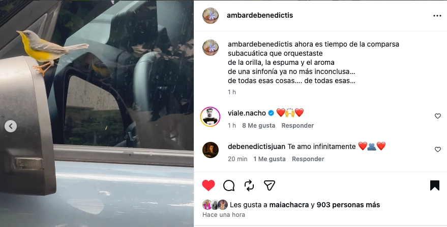 Ámbar de Benedictis mostró la señal recibida tras la muerte de su abuelo Piero y le dedicó un mensaje de despedida 2 Ámbar de Benedictis mostró la señal recibida tras la muerte de su abuelo Piero y le dedicó un mensaje de despedida