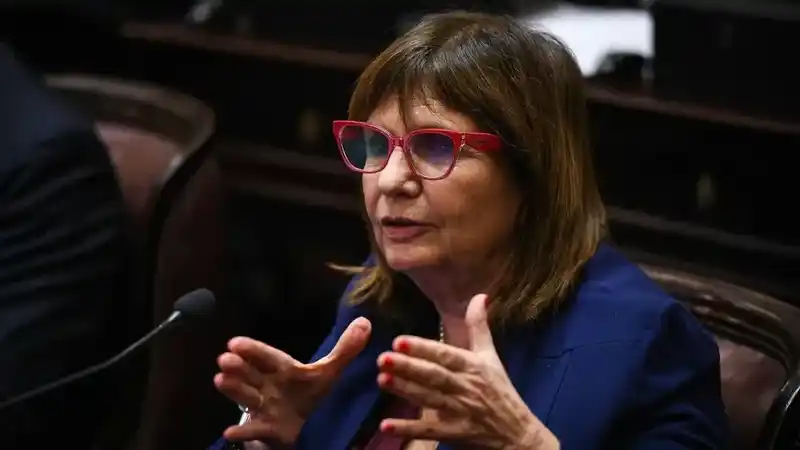 Bullrich criticó a Milei por pedir quemar a periodistas 2 Bullrich criticó a Milei por pedir quemar a periodistas