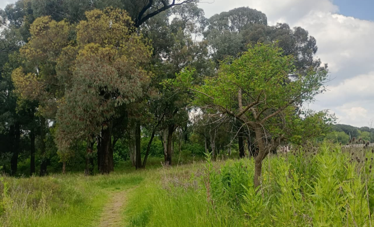 Vecinos de Ciudad Evita preservan la Reserva Natural con Ecobici 4 Vecinos de Ciudad Evita preservan la Reserva Natural con Ecobici