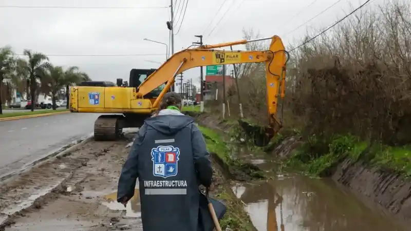 Pilar declara emergencia climática 2 Pilar declara emergencia climática